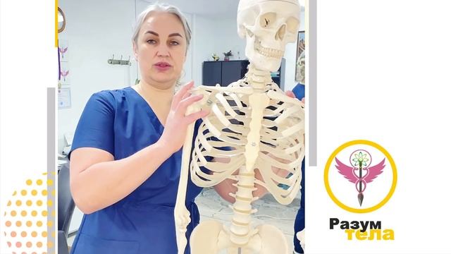 Боли в спине у автомобилистов смотреть онлайн