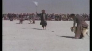 В Афгане (часть 1)