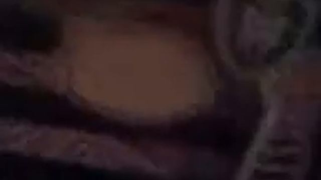 обзор рошель