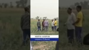 Н Ч Балхи ш Гулистон