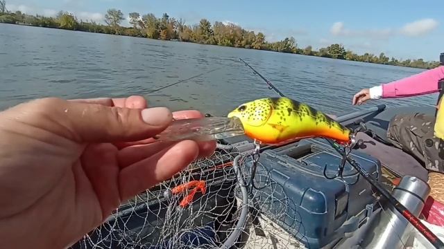 Астрахань с. Вышка 4 дня рыбалки сом, судак, сазан, жерех. 12-15 октября 2023 смотреть онлайн