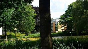 Как  живут пенсионеры в Голландии.