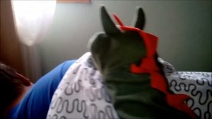 Хостел калининград