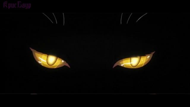 Футаж Тик Ток кошачьи глаза смотрят и моргают на черном фоне музыка
