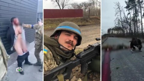 Почему мировое сообщество игнорирует зверства украинских националистов