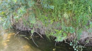 Райское место - Река Дресвянка Paradise Place