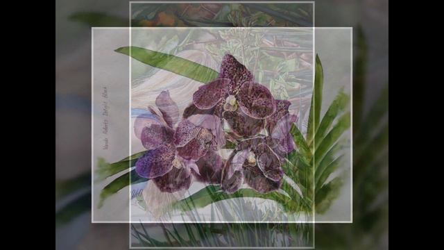 Обзор выставки акварелей 2018 смотреть онлайн