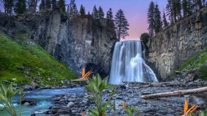 Quer relaxar? Musíca para Relaxar-cachoeira e sons da natureza -Já dormiu?