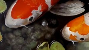Карпы Кои
