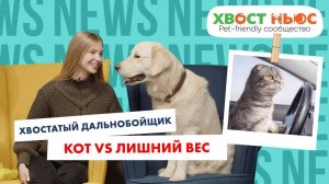 Удав в метро, налог на собак, спасение на 41 этаже и другие новости «Хвост Ньюс» #65