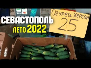 ЦЕНЫ 2022 | Севастополь | Рынок "Чайка" | Крымские цены