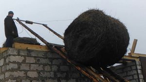 Как мы поднимали солому на крышу