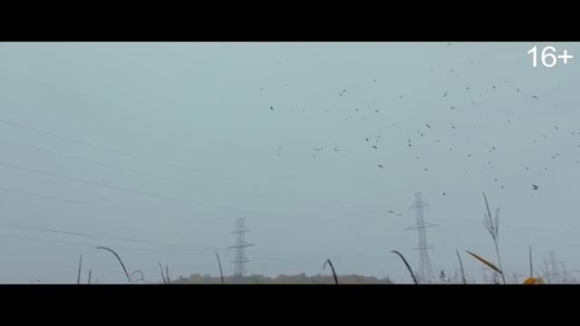 Страшные истории для рассказа в темноте Финальный дублированный трейлер HD.mp4 смотреть онлайн