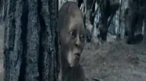 «Ленинград»   Дикий мужчина