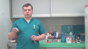 признаки мочекаменной болезни у кошек