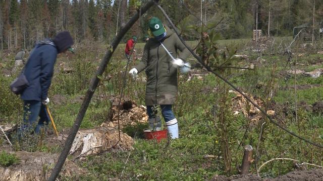 Сад Памяти 27.05.2024