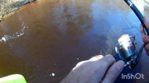 Рыбалка на Чёрной речке, язь, плотва, елец.