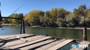 Ловля хищника посёлок Топольки Ростовская область 2018 год.