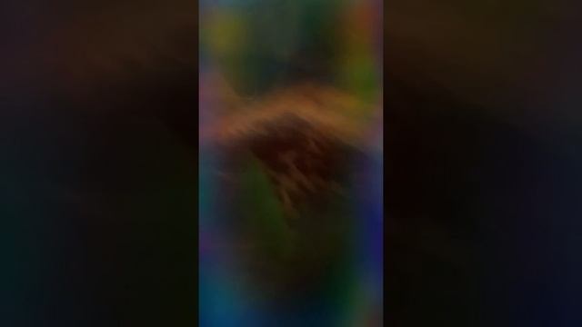 Goody elf and naughty tree git drunk(protend) смотреть онлайн