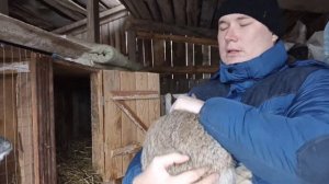 Болезнь кроликов! [как и чем лечить!?]