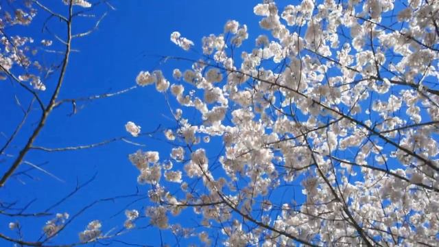 Лабковский Михаил - Два часа свободного времени в день очень важно для развития. смотреть онлайн