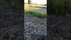 Обзор чудо-лопаты отца Геннадия