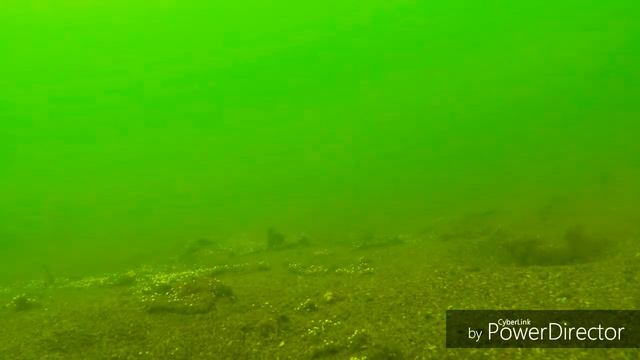 Камчатка, потерял камеру в воде, рыбам она понравилась. смотреть онлайн