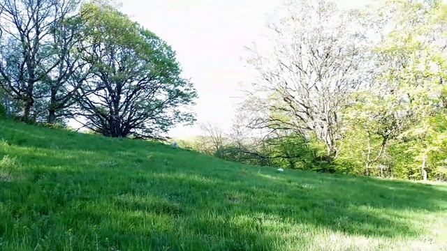 Велопоход с ночевкой смотреть онлайн