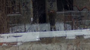 ПРОЕКТ ОСА — ВВД МЕХАНИК ЮГОВА