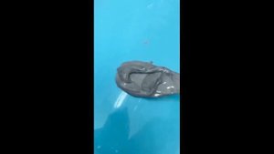 Применение эпоксидного клея