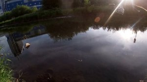 Лещ на мормышку | Летний мормышинг | Спиннинг Dayo Black Dragon 0,5 - 5