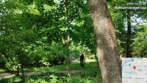 Измайловский сад Адмиралтейский район Санкт-Петербурга #измайловскийпарк #сад #garden #spb piter.su