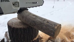 Бензопила STIHL MS194T