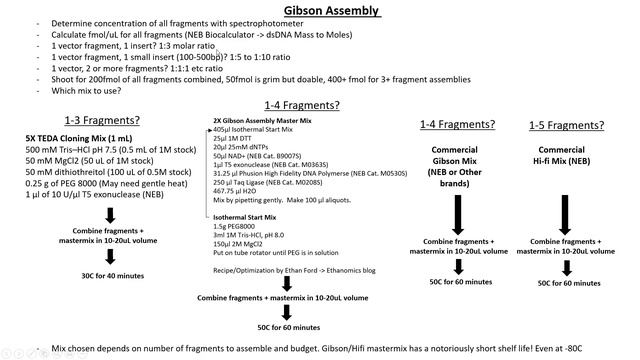 (PJ e13) Cloning Workshop Part 2 - Fragment generation, Assembly and Transformation смотреть онлайн