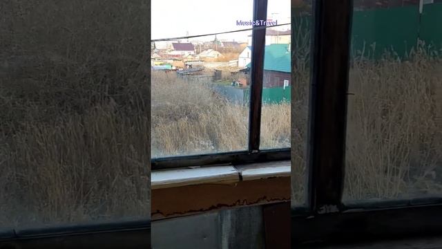 Синичкин календарь. 8 ноября