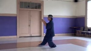 Traditional Yang Style 108 form Tai Chi Chuan 太极拳