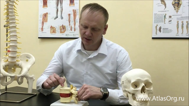 Как возникает грыжа позвоночника