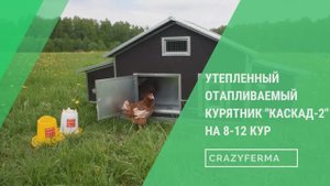 КАК БЫСТРО обслужить 12 КУР, потратив минимум усилий и времени_ ОБЗОР КУРЯТНИКа _КАСКАД-2_