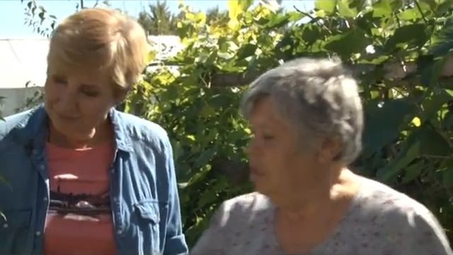 Бругмансия на Урале смотреть онлайн