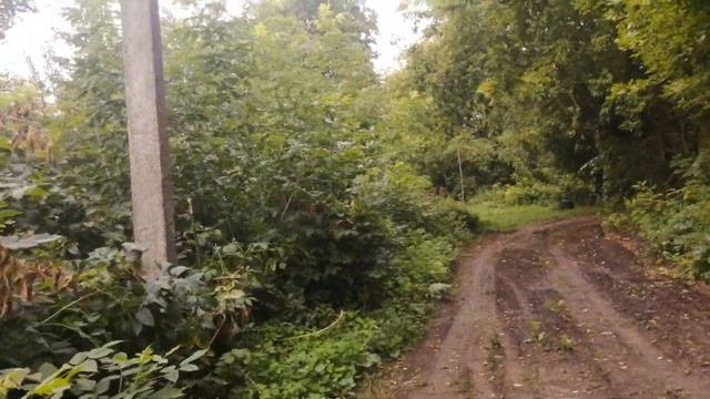 КУПИТЬ ДОМ В ДЕРЕВНЕ КРАПИВНА
