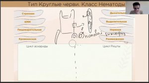 Круглые черви | Биология ЕГЭ