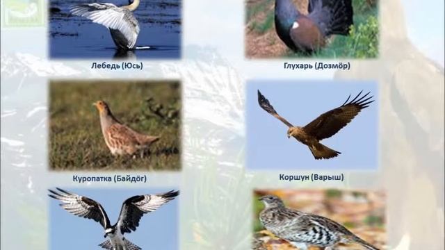 Югыд ва смотреть онлайн