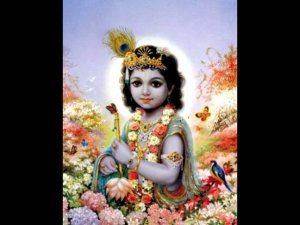 Shri Krishna Stuti
