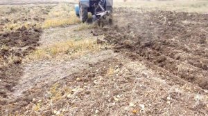 Глубокое рыхление солонцов. Трактор МТ-82 с навесным глубокорыхлителем, стойки "Дельтаплау".