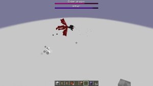 Wither vs Ender Dragon. Can a wither defeat Ender Dragon? Who will win?