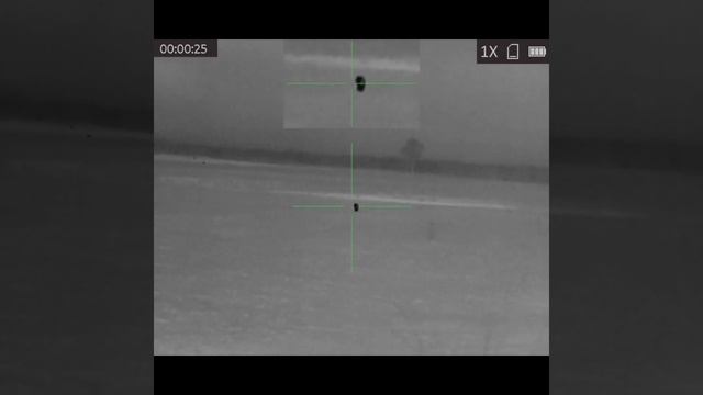 Охота на лисичку,  зайчики будут спокойны смотреть онлайн