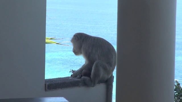 Banyan Tree Bali Ungasan part 1 Villa Tour