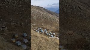 Гоцоб