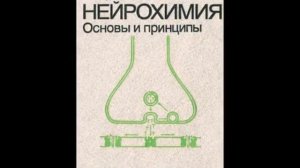 6 книг о нейромедиаторах