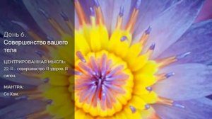 6 день - Совершенство вашего тела (ИДЕАЛЬНОЕ ЗДОРОВЬЕ Дипак Чопра)
